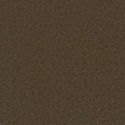 Latte · Broadcast collection color reference