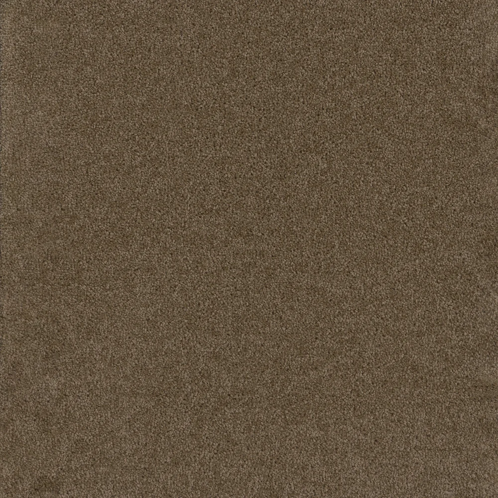 Balsam · Broadcast collection color reference