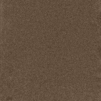 Balsam · Broadcast collection color reference