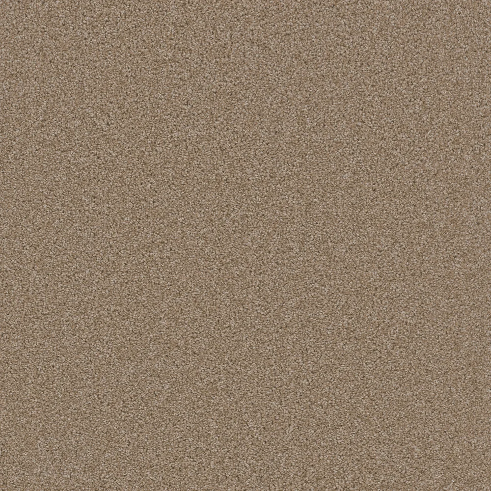 Sawgrass · Broadcast collection color reference