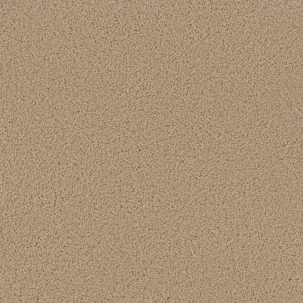 Cookie Dough · Broadcast collection color reference