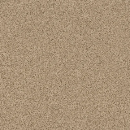 Cookie Dough · Broadcast collection color reference