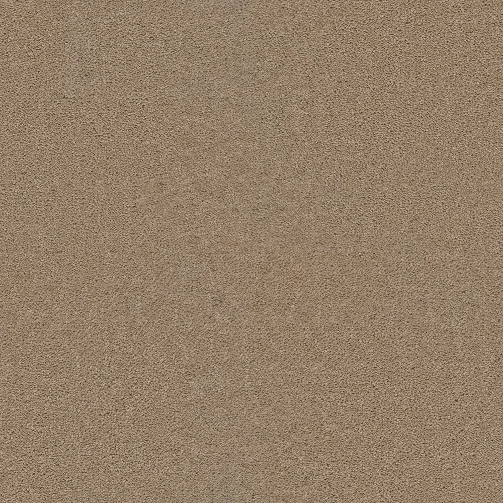 Camel · Broadcast collection color reference