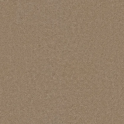 Camel · Broadcast collection color reference