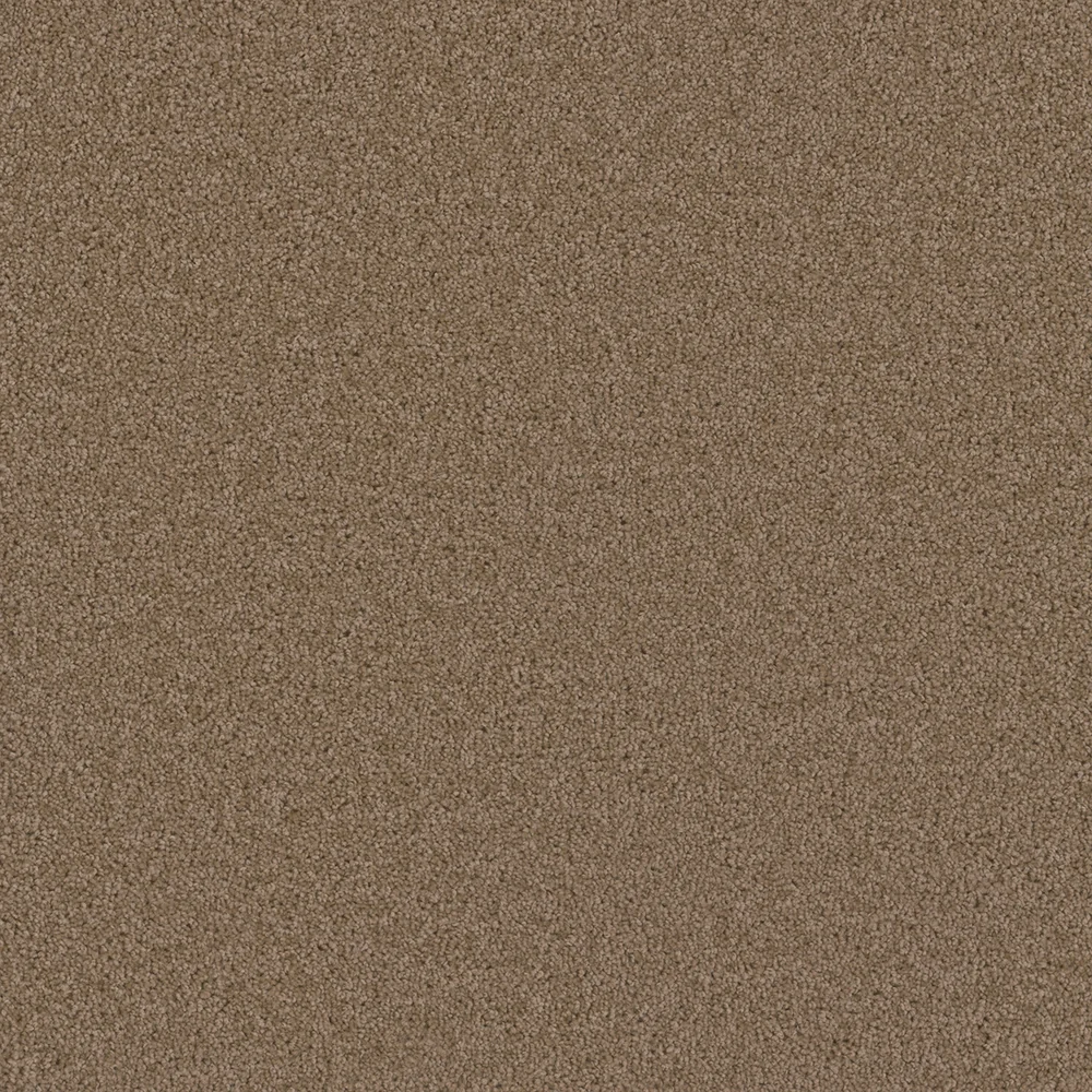Sandstone · Broadcast collection color reference