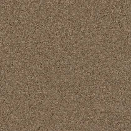 Sandstone · Broadcast collection color reference