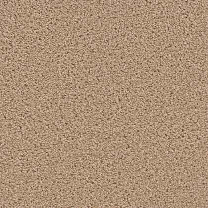 Raffia · Broadcast collection color reference