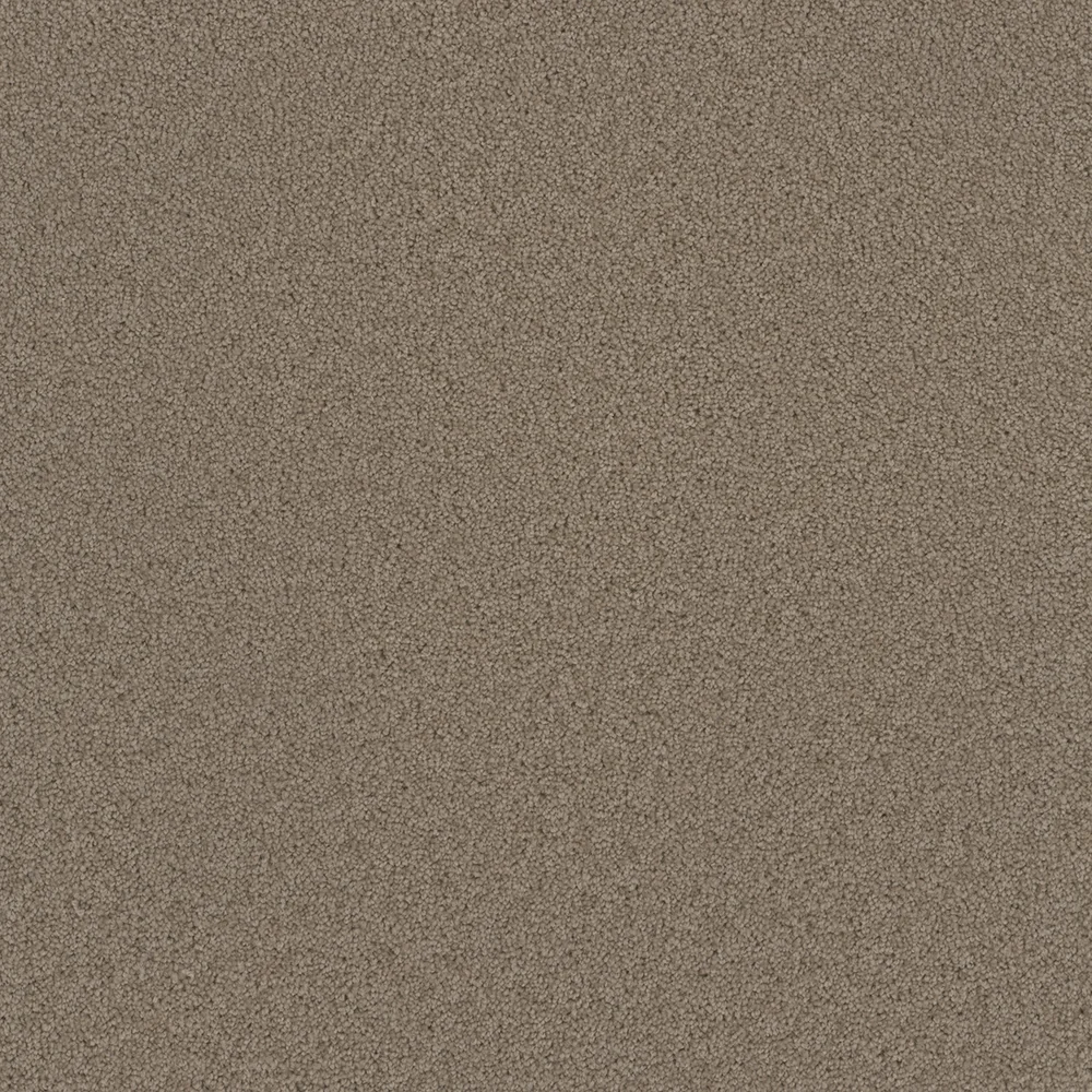 Ash · Broadcast collection color reference