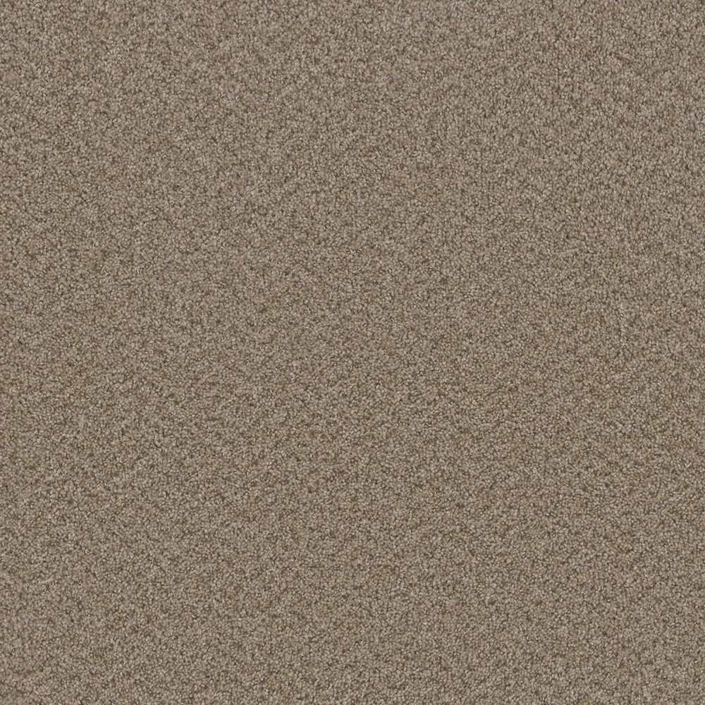 Almond · Broadcast collection color reference