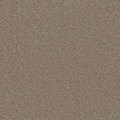 Almond · Broadcast collection color reference