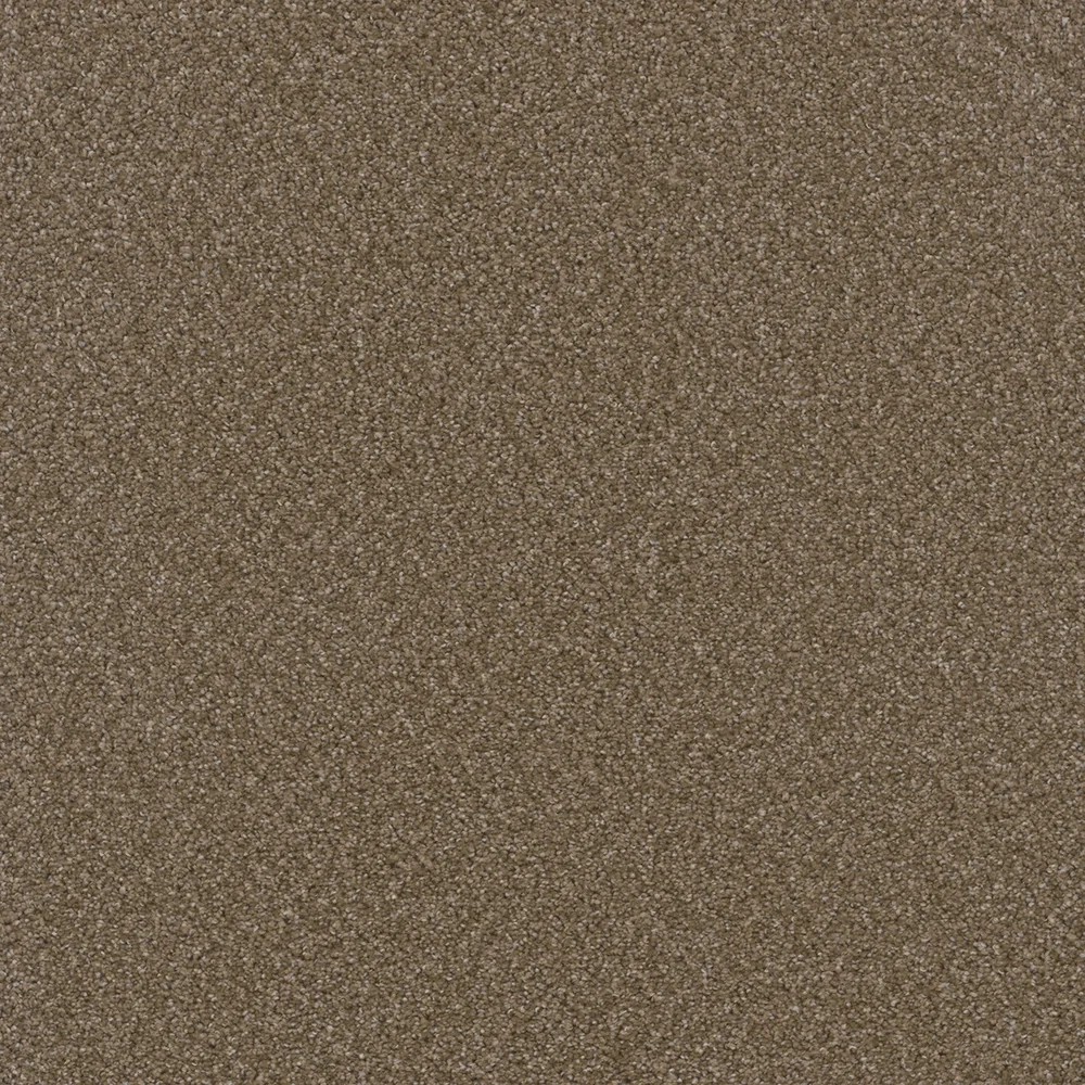 Chestnut · Broadcast collection color reference