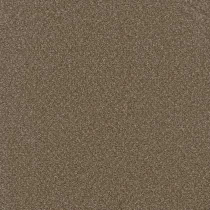 Chestnut · Broadcast collection color reference