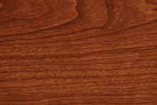 Wild Cherry — Classic Suede catalog reference