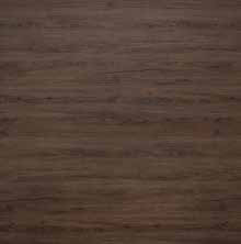 Allaria — Embossed in Registration catalog reference