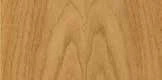 hickory — Moulding Species catalog reference
