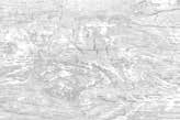 Cayman — Saviola catalog reference