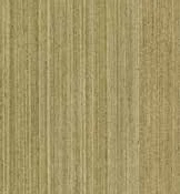 quarter champagne — Reconstituted Veneers catalog reference