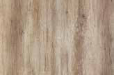 Canyon Oak — Saviola catalog reference