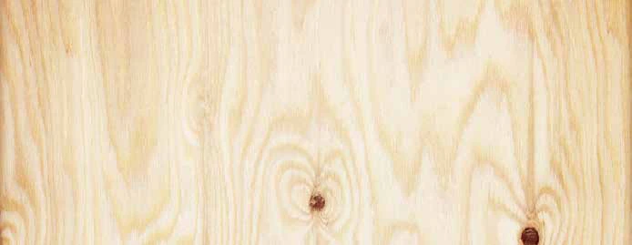 CCX Softwood Plywood — Panels & Cores catalog reference