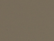 Camello — Nitro catalog reference