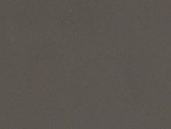 Cappuccino — Nitro catalog reference