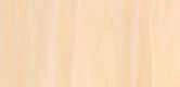 Poplar — Moulding Species catalog reference