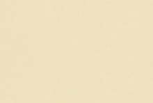Almond — Classic Suede catalog reference