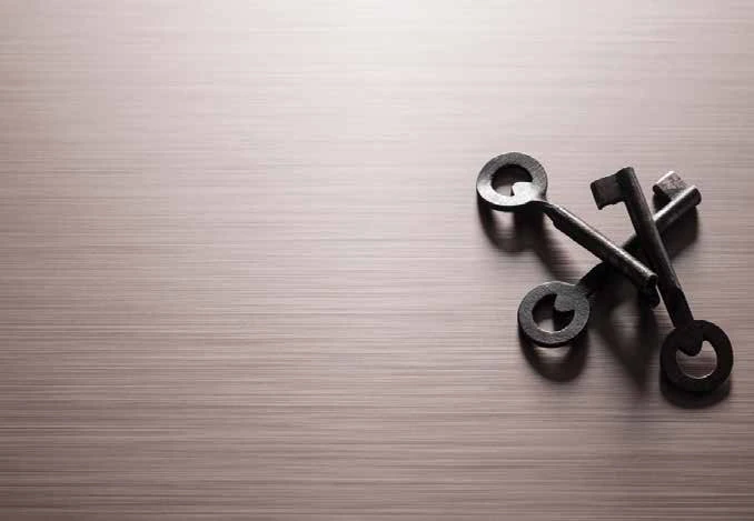 Metalica brushed surface detail