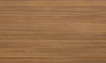 Arizona Cypress — Artika catalog reference