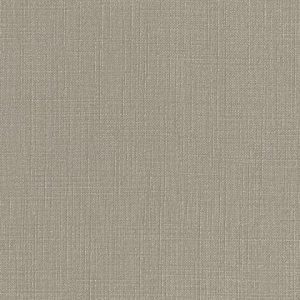 Beachcomber · Pionite manufacturer swatch