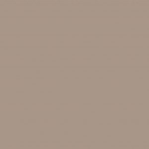 Comeback Camel · Pionite manufacturer swatch