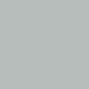 Dolphin Gray · Pionite manufacturer swatch