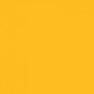 Forsythia · Pionite manufacturer swatch