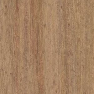 Gingersnap · Pionite manufacturer swatch
