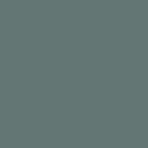 Moss Gray · Pionite manufacturer swatch