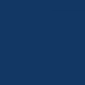Navy Blue · Pionite manufacturer swatch