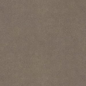 Passin Through · Pionite manufacturer swatch