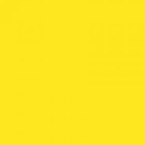 Primary Yellow · Pionite manufacturer swatch