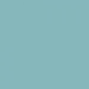 Surfin' USA · Pionite manufacturer swatch