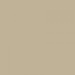 Taupe · Pionite manufacturer swatch